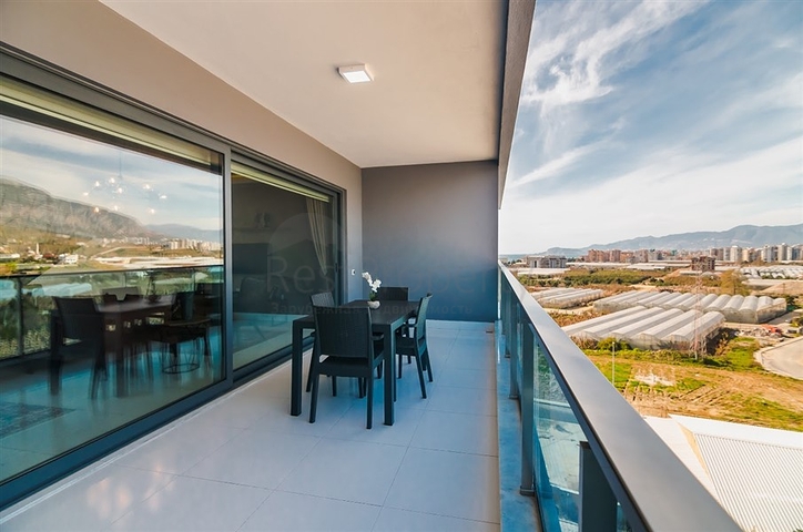 مشروع استثماري جديد في كارجي جاك الانيا