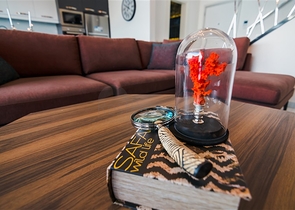 مشروع استثماري جديد في كارجي جاك الانيا