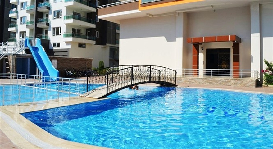 شقة غرفة و صالة  بسعر ممتاز في الانيا