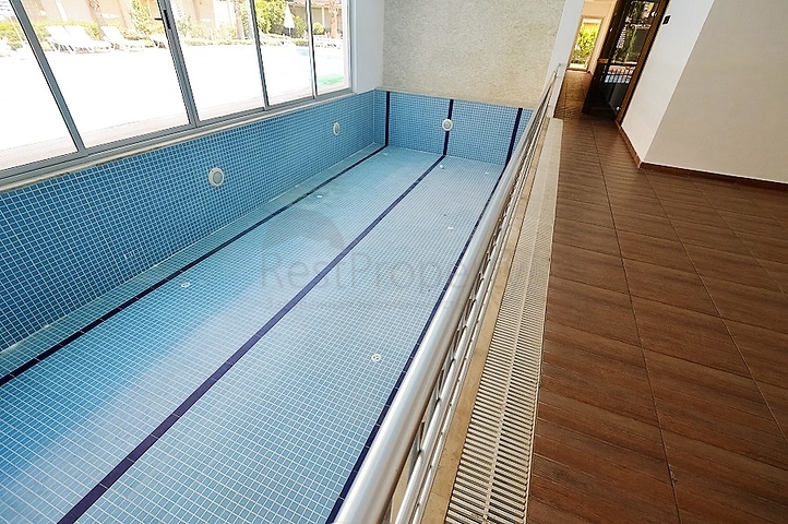 شقة مفروشة غرفة و صالة في الانيا