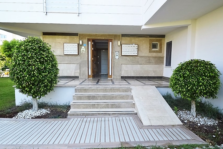 شقة مفروشة غرفة و صالة في الانيا