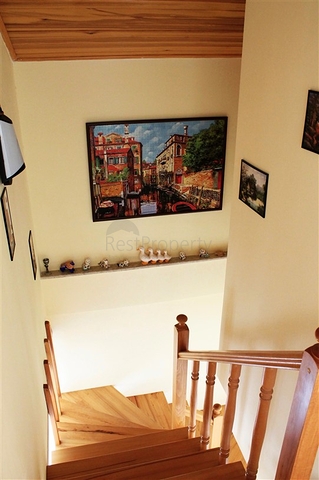 شقة مفروشة في جيكجيلي الانيا