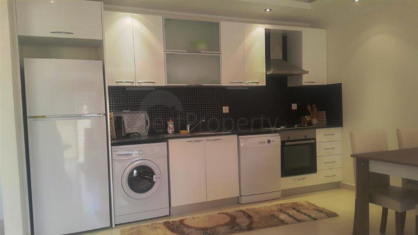 شقة مفروشة غرفة و صالة في الانيا