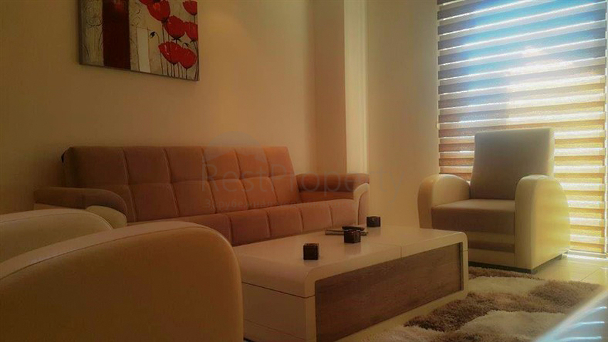 شقة مفروشة غرفة و صالة في الانيا