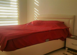 شقة مفروشة غرفة و صالة في الانيا