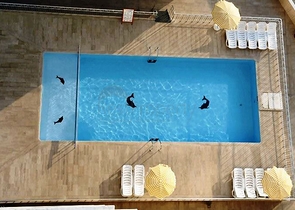 شقة 1+2 باطلالة على البحر في توسمور - الانيا