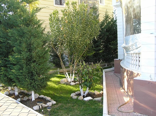 فيلا ثلاث طوابق مفروشة في فتحية