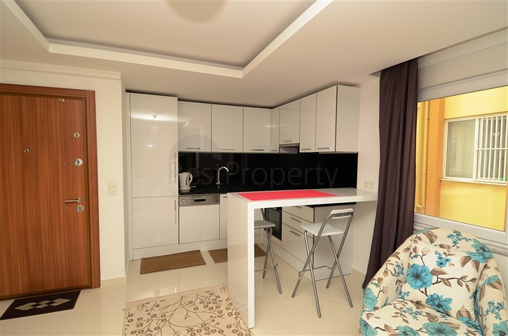 شقة غرفة وصالة في مركز الانيا