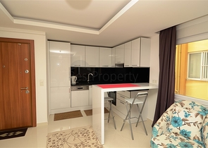 شقة غرفة وصالة في مركز الانيا