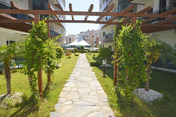 شقة مفروشة في الانيا