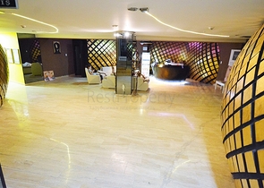 شقة مفروشة في الانيا