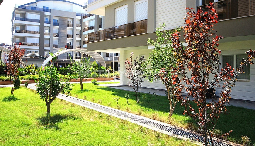 شقة غرفتين و صالة