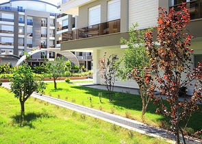 شقة غرفتين و صالة