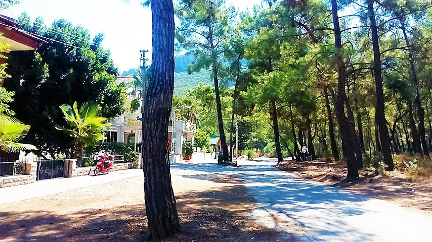 شقة دوبلكس مفروشة في كيمير