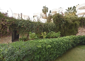 شقة بينتهاوس في مجمع مميز