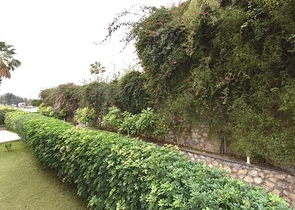 شقة بينتهاوس في مجمع مميز