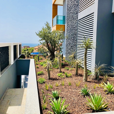 مشروع استثماري لشقق حديثة في كاستيل / الانيا