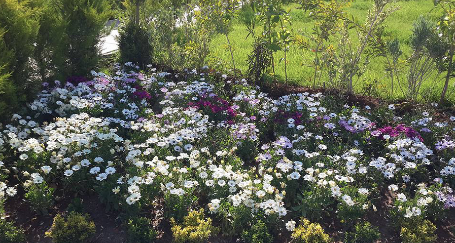 بينت هاوس فاخر في انطاليا