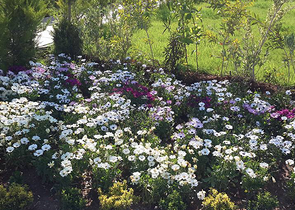 بينت هاوس فاخر في انطاليا