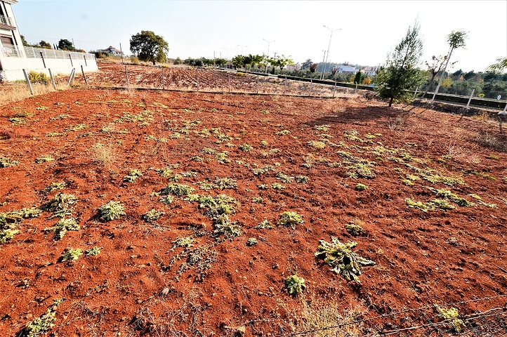 أرض تصلح لبناء فيلا أو منزل مستقل في انطاليا/دوشيميلتي