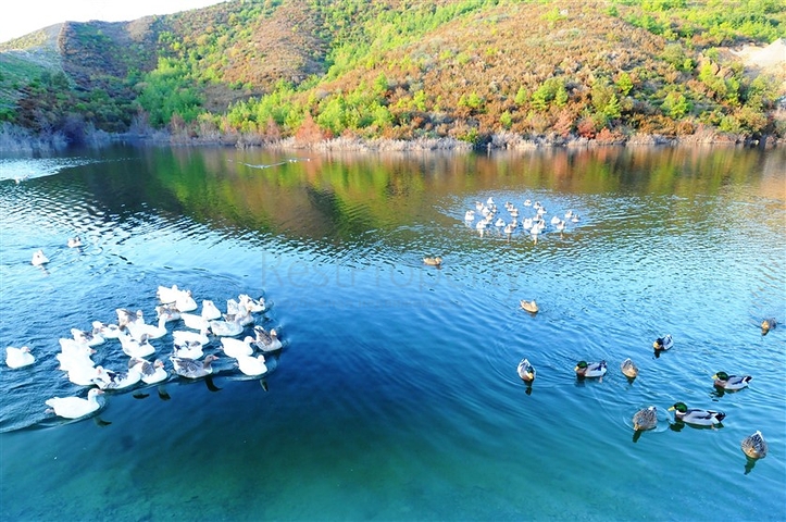 شقة باطلالة بحرية في مجمع فاخر في الانيا