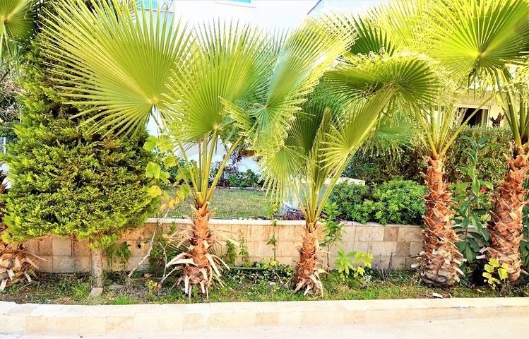 شقة غرفتين و صالة في كونيالتي - انطاليا