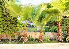 شقة غرفتين و صالة في كونيالتي - انطاليا