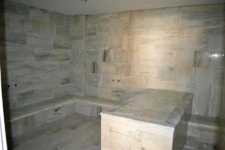 مشروع استثماري في الانيا