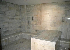 مشروع استثماري في الانيا