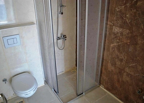 مشروع استثماري في الانيا