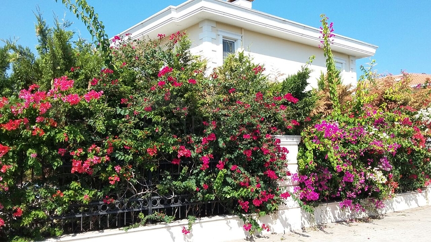 فيلا ثلاث غرف و صالة في كيمير