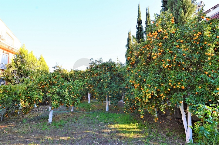 فيلا منفصلة 5 + 1 فى جوينوك