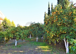 فيلا منفصلة 5 + 1 فى جوينوك