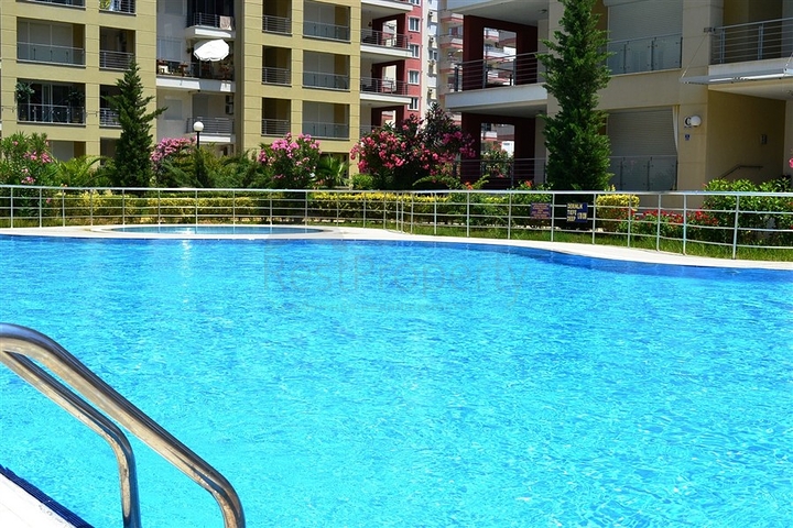 شقة واسعة في محمود لار / الانيا