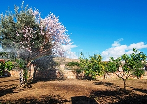 فيلا فاخرة في الانيا / تركيا 