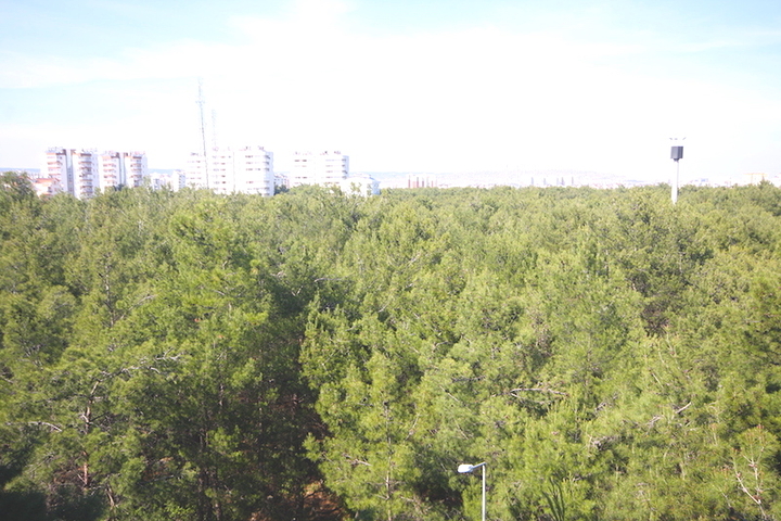 شقق بإطلالة خلابة على حدائق الصنوبر في منطقة كونيالتي – أنطاليا