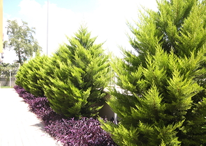 شقق ضمن مجمع سكني في مركز مدينة أنطاليا 