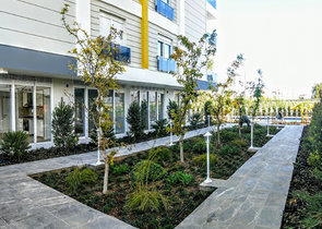 مشروع استثماري قيد الانشاء 