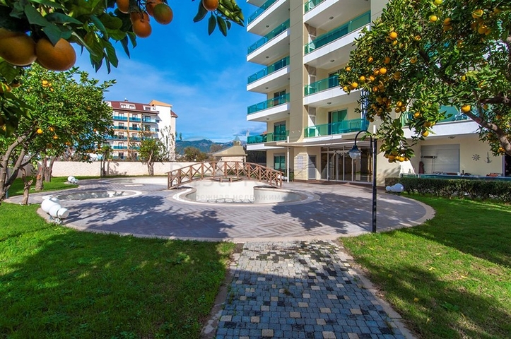 شقة كبيرة بغرفة نوم واحدة في الانيا / كاستل 