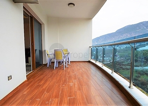 اسكن او استثمر - شقة فاخرة بتصميم غرفة وصالة ضمن مجمع 5 نجوم في الانيا 