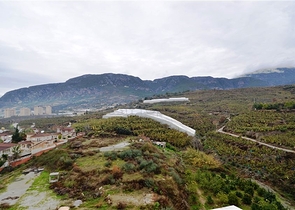 اسكن او استثمر - شقة فاخرة بتصميم غرفة وصالة ضمن مجمع 5 نجوم في الانيا 