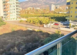 شقة غرفة نوم وصالة بسعر مميز في الانيا 