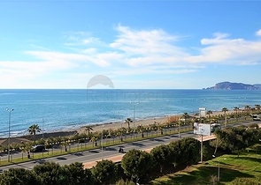 شقة غرفتين وصالة في مجمع فاخر ب مهموتلار / الانيا .