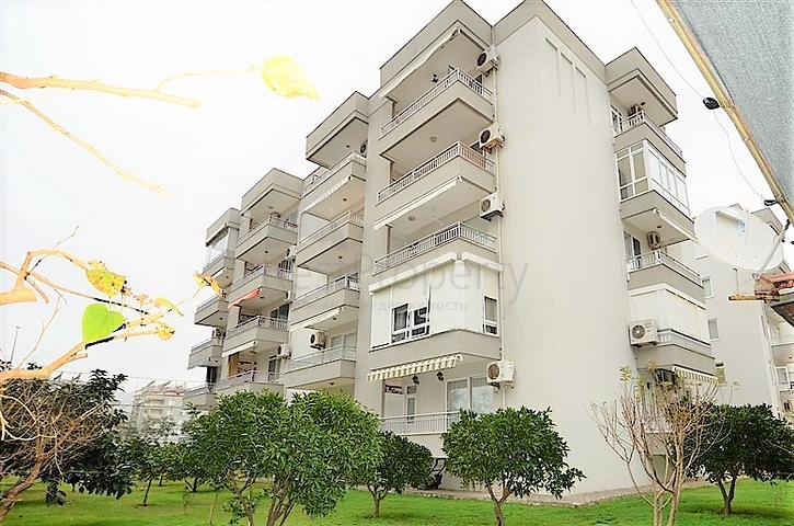 شقة غرفتين وصالة في منطقة اوبا المركزية / الانيا 