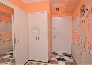 شقة مفروشة غرفة وصالة في موقع مميز ضمن محمودلار / الانيا