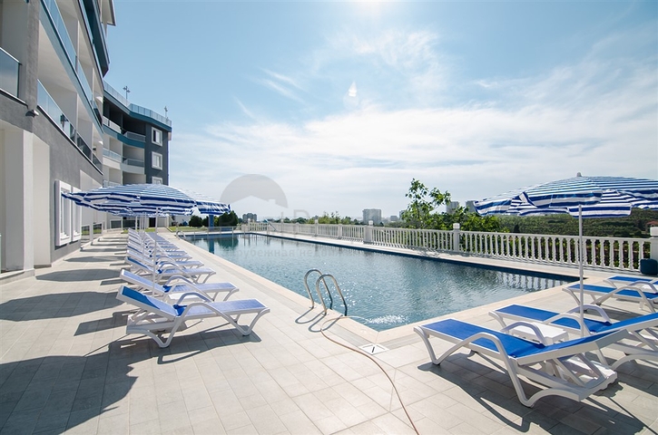 مشروعنا الجديد في كارجي جاك / الانيا