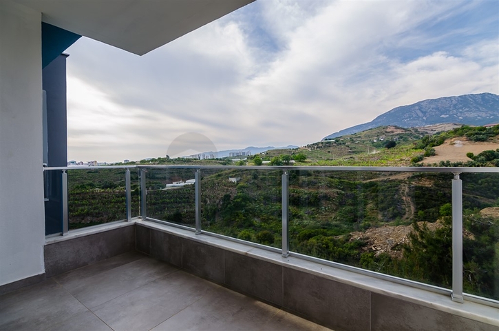 مشروعنا الجديد في كارجي جاك / الانيا