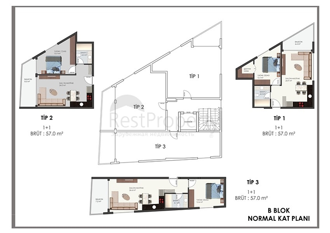 مشروع استثماري جديد في وسط مدينة الانيا