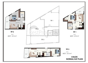 مشروع استثماري جديد في وسط مدينة الانيا