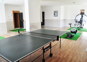 شقة غرفتين وصالة مؤثثة في مهموتلار / الانيا